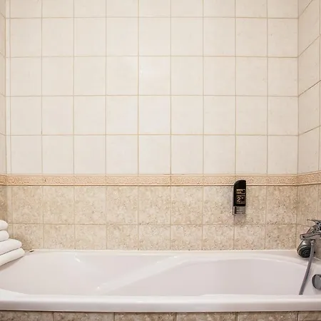 Hotel-penzion Zacher Piest'any